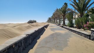 GC-Paseo Costa Canaria - Dunas 2023-032.jpg